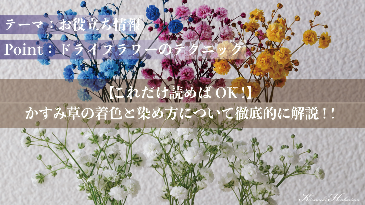 これだけ読めばok かすみ草の着色と染め方について徹底的に解説 きらめきハーバリウム